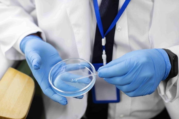 artificial insemination Thailand