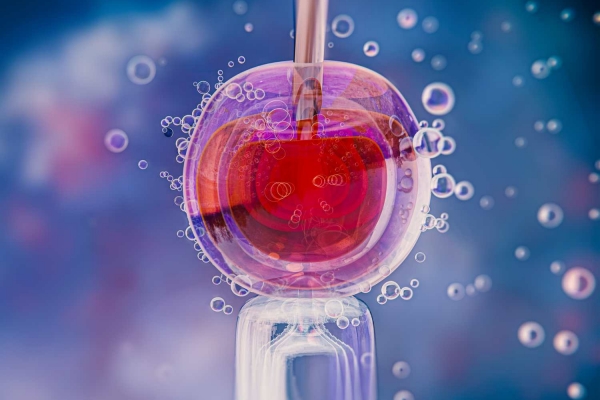 endometrial repair using stem cells
