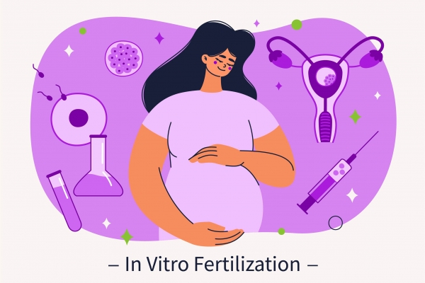 how long after egg retrieval is embryo transfer
