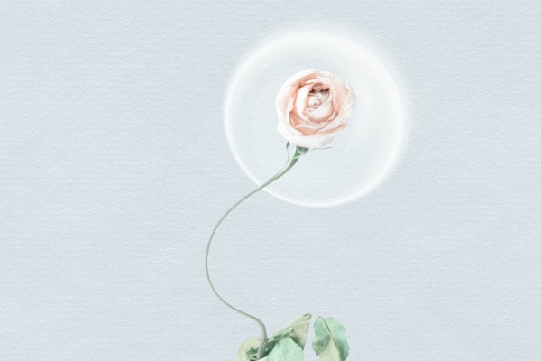 miscarrying a blighted ovum