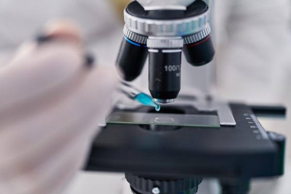 core causes of embryo failure to blastocyst