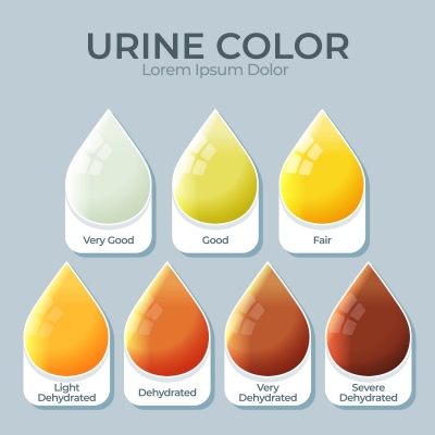 Foamy urine treatment
