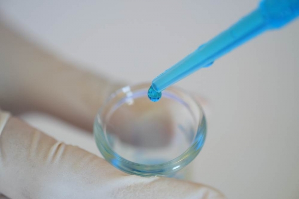 What are single-gene diseases