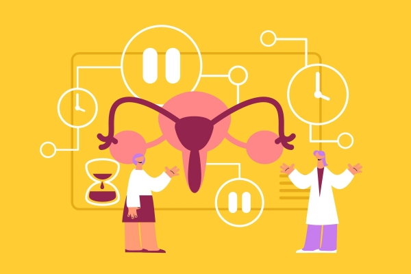 ESHRE ovarian-stimulation guidance